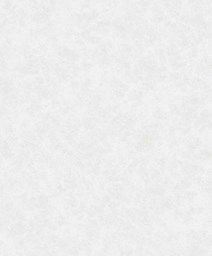 Zeige Details für MIYO DEW Bild von MIYO DEW