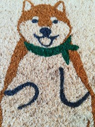 Zeige Produkte für Kategorie Türmatte Bild für Kategorie Türmatte