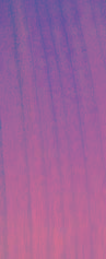 cherry-new.jpg
