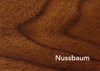 Nussbaum DO